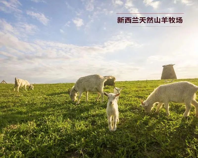 新手爸妈容易忽视的这些第一次,可能影响孩子的一生