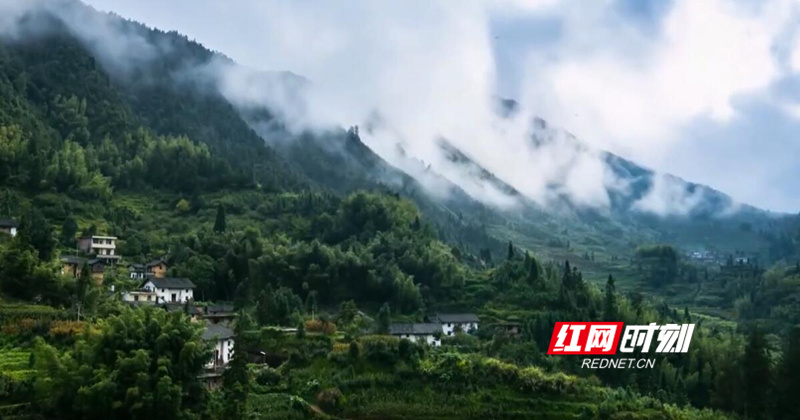 跟着专列去打卡·炎陵丨中国革命的红色家园