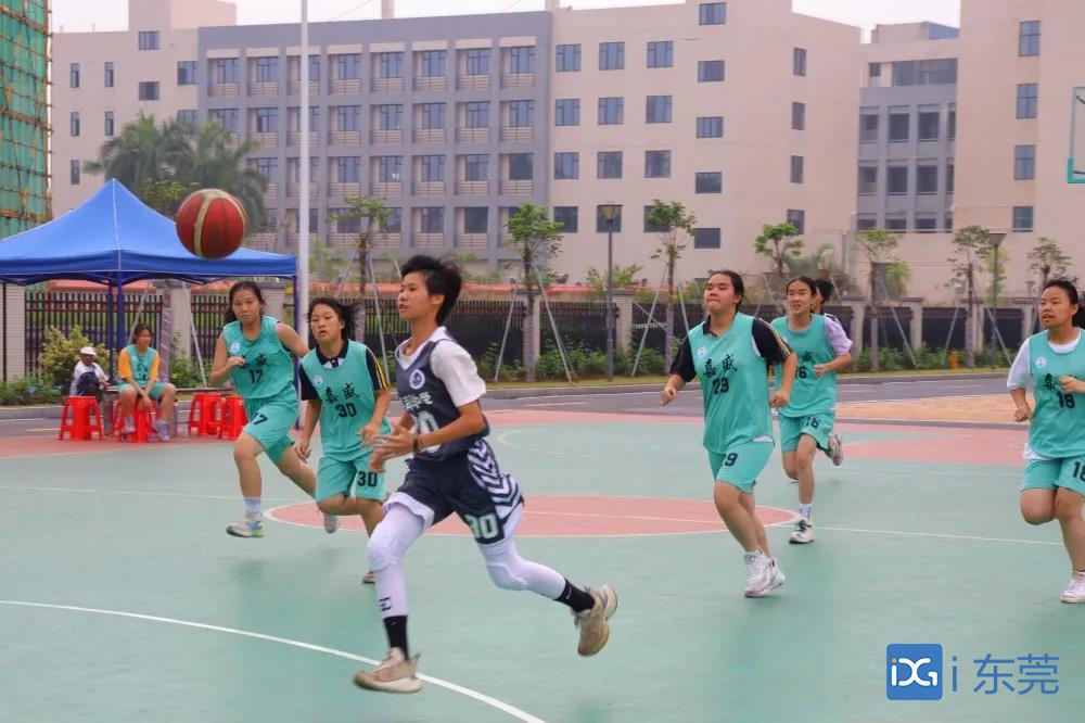 常平桥梓村打篮球比赛在哪里打(“篮球之乡”学子秀风采！常平举行第一届中学生校园篮球比赛)