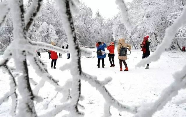 读懂张家界：读懂一个人，了解一座城 出门旅行必备攻略被众人追求的完美旅行