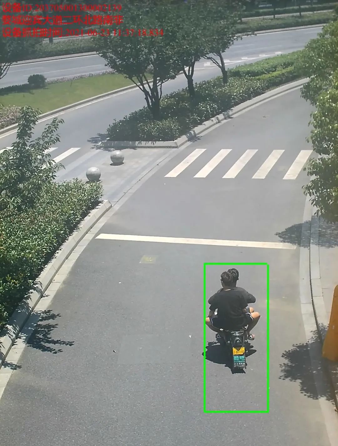 金华市车辆违章查询,金华市车辆违章查询网