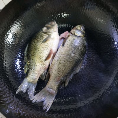 鯽魚豆腐湯的做法,鯽魚豆腐湯的做法視頻