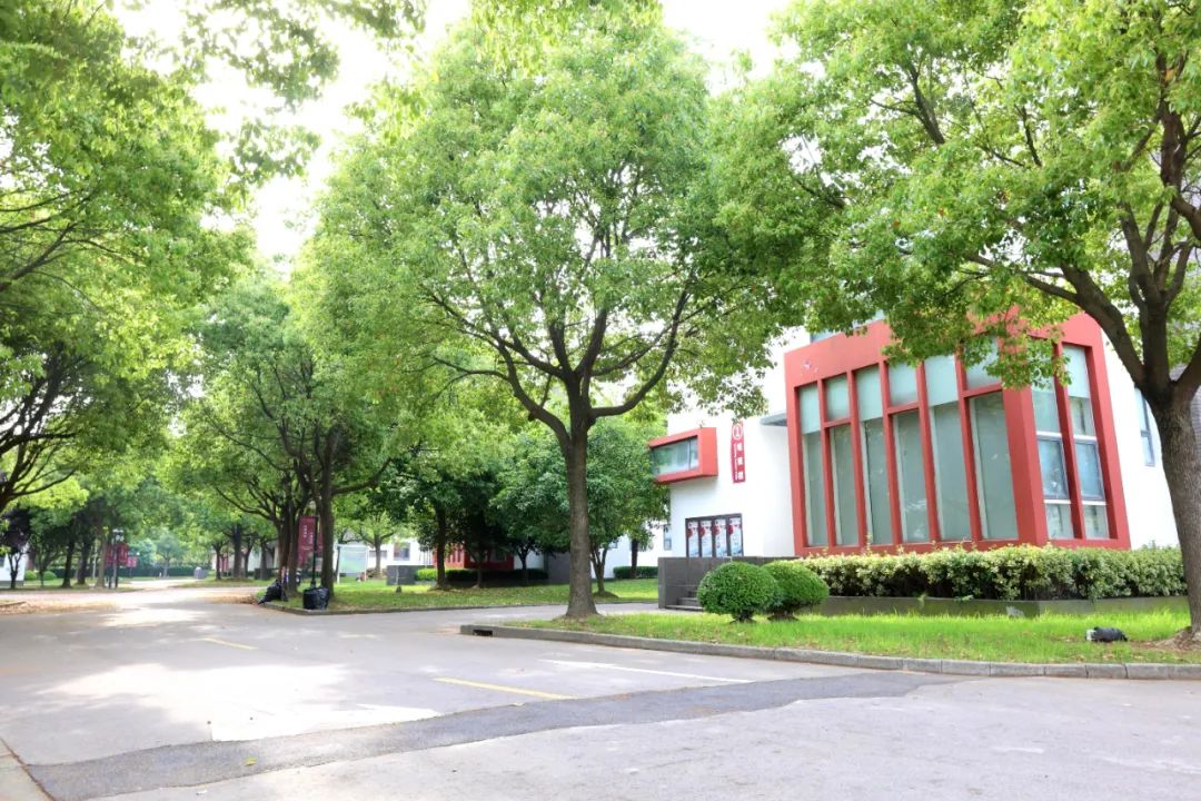 上海美达菲学校荣登《2021胡润百学·可招收中国籍学生的中国国际学校80强》