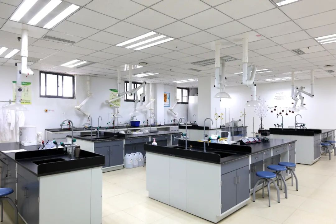 上海美达菲学校荣登《2021胡润百学·可招收中国籍学生的中国国际学校80强》