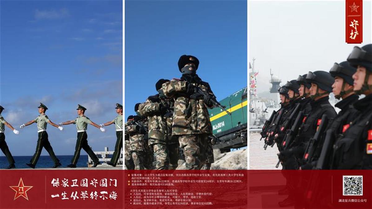 大学生 征兵,大学生征兵网