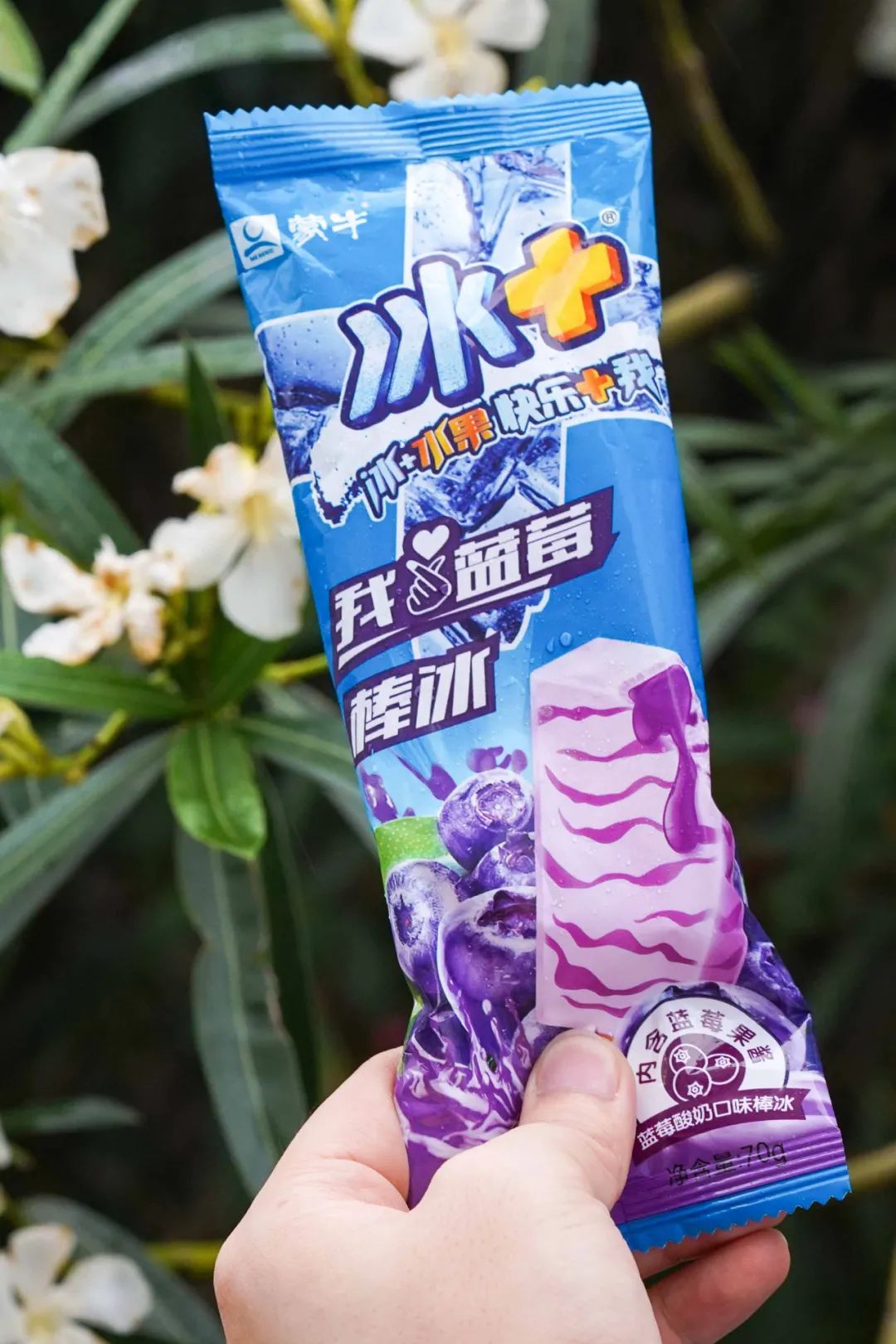 蒙牛雪糕比较好吃的有哪些（分享5块钱以下的雪糕能有多好吃）(9)