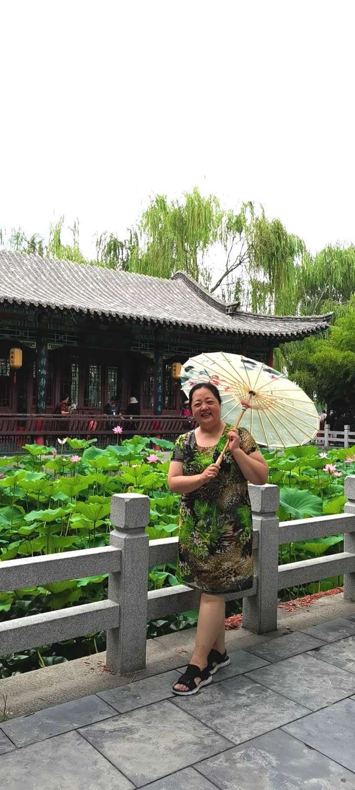 盛世并蒂莲花开，国泰民安多美好