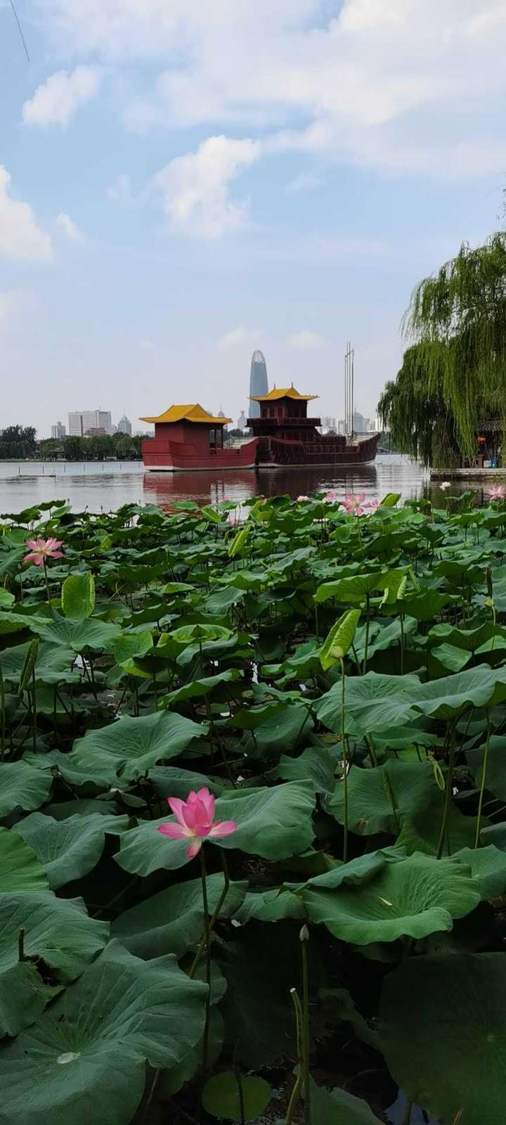 盛世并蒂莲花开，国泰民安多美好