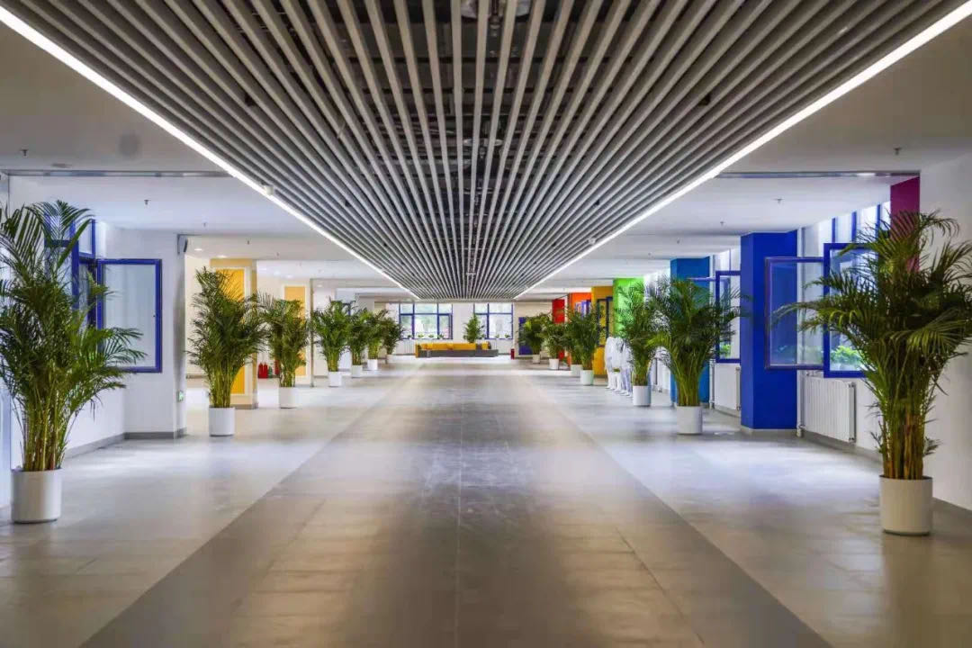 亦城教育 | 你了解北京二中经开区学校吗？来听听校长怎么说