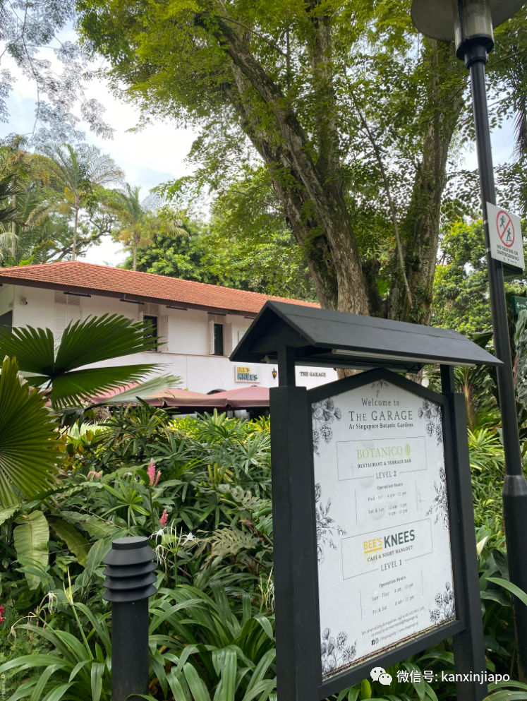 新加坡宅旅游攻略，揭秘惊喜多多的植物园