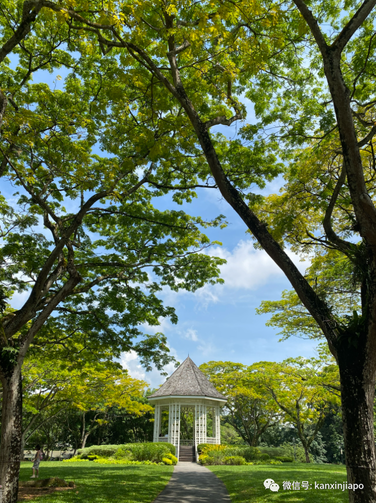 新加坡宅旅游攻略，揭秘惊喜多多的植物园