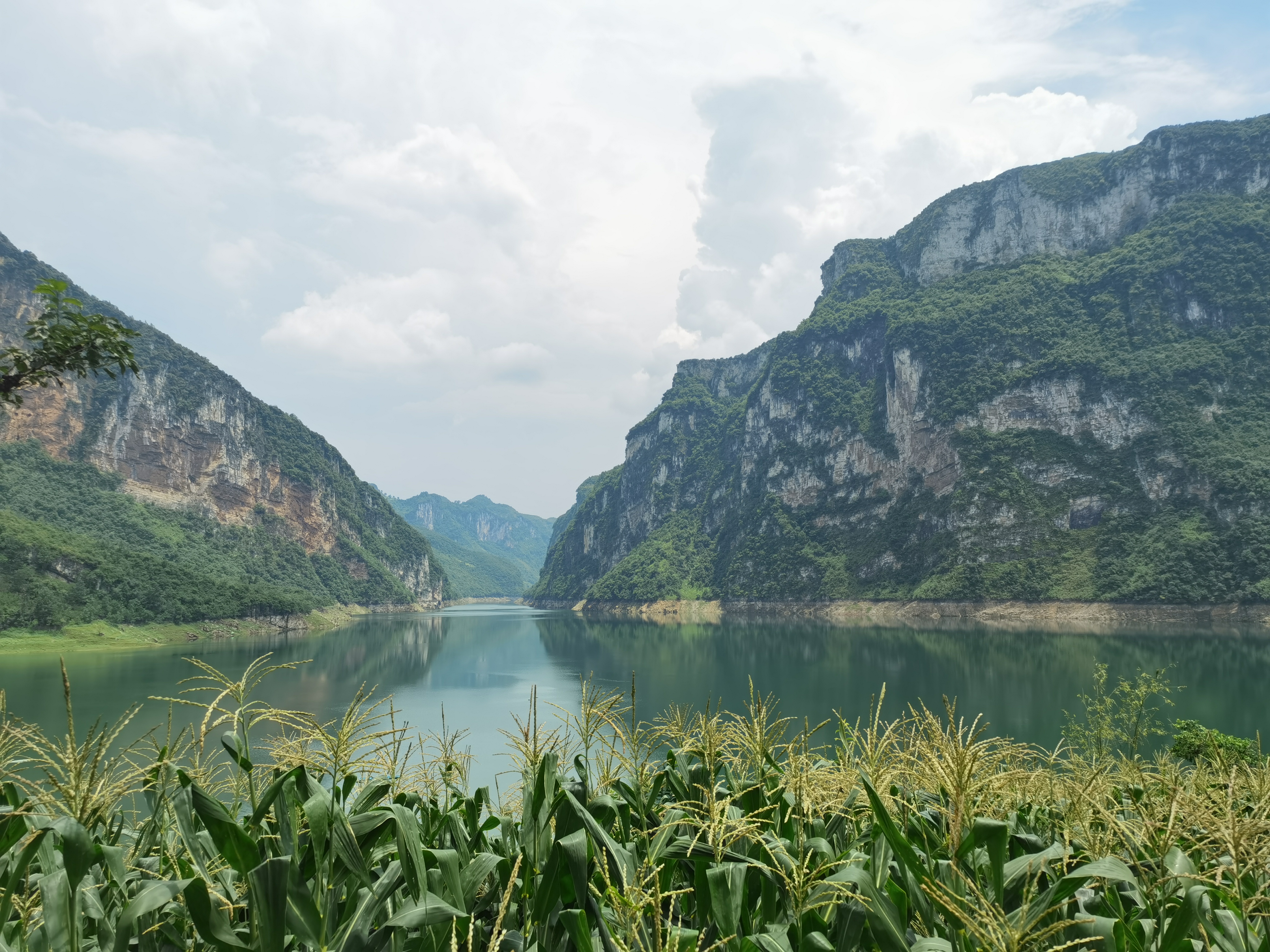 西南山村厕所革命：隐秘角落不再尴尬