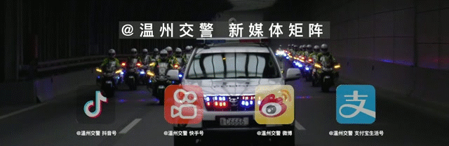 温州交警网,温州交警网违章查询处理
