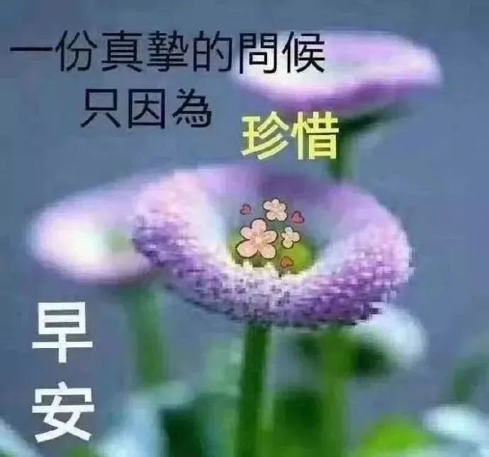 最暖心早安图片 温馨的秋天早上好祝福语图片带字 早安问候语