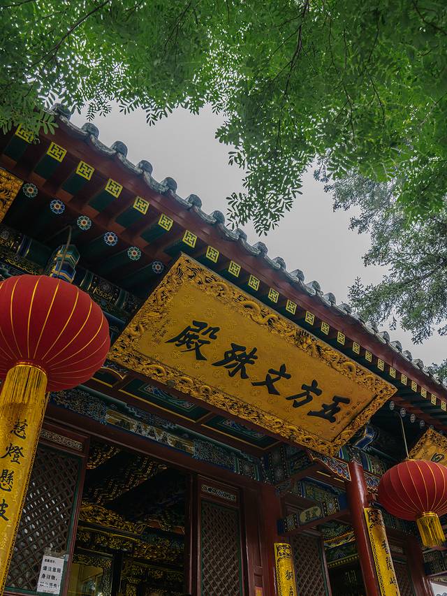 清凉山上佛法僧，山西忻州天地人——3天2晚晋北游