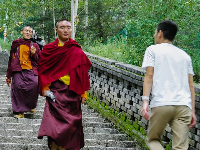 清凉山上佛法僧，山西忻州天地人——3天2晚晋北游