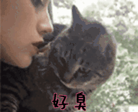 团 | 国货牙膏绝绝子，烟渍茶渍咖啡渍渍渍去除，预防95%未来牙渍，到老“坚白不坏”