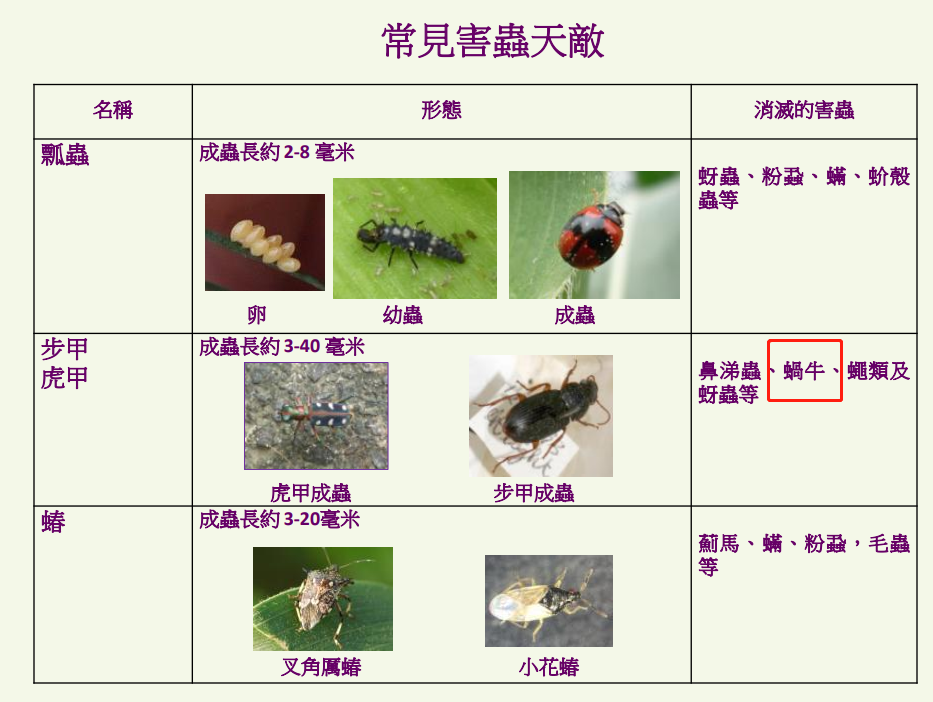 蝸牛是益蟲還是害蟲,無殼蝸牛是益蟲還是害蟲