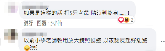 蝸牛是益蟲還是害蟲,無殼蝸牛是益蟲還是害蟲