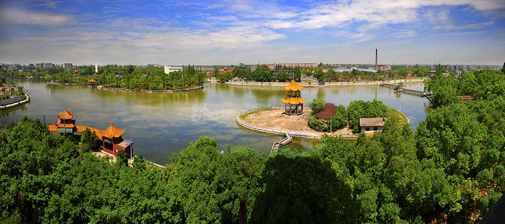 散文丨刘懿波:南洲桂园古樟香