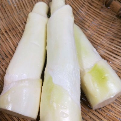 茭白肉絲,茭白肉絲的做法