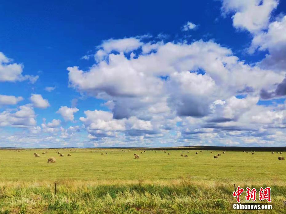 初秋的呼伦贝尔草原美如画