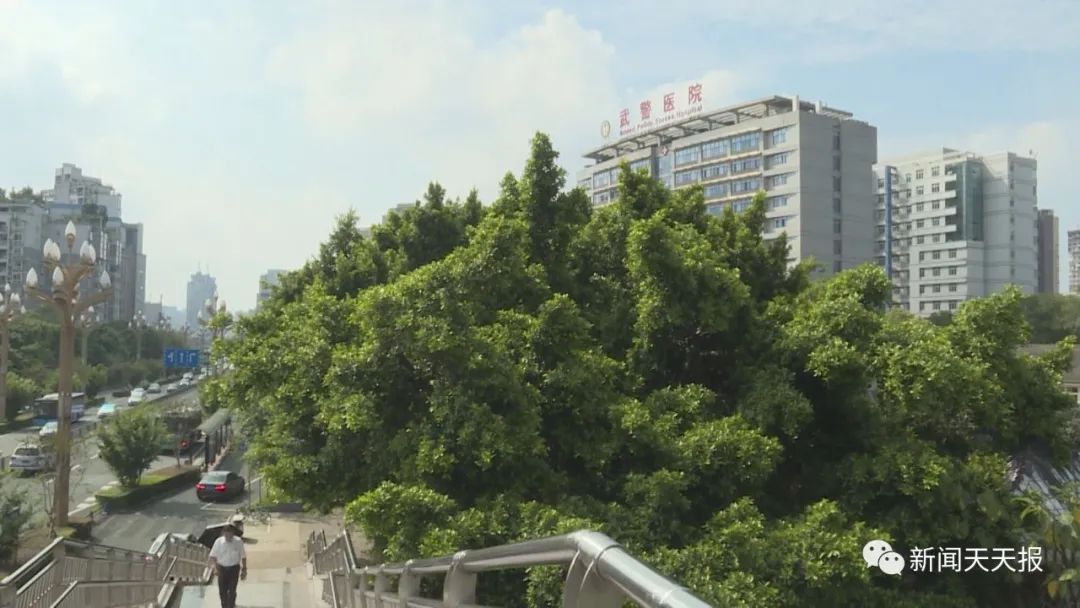 乐山这些人太可恶！连大爷大妈攒下的看病钱都