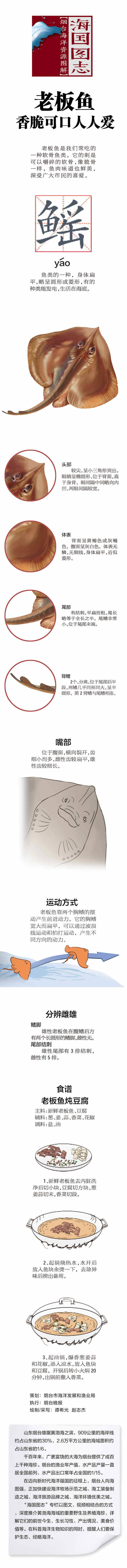 老板魚,老板魚怎么做好吃