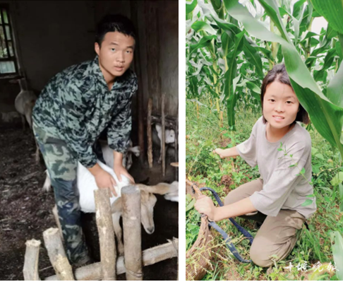 有香港90后爱心人士