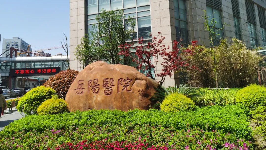 「世界传统医药日科普」当更年期遇见失眠症，膏方助您美梦成真