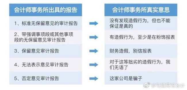 财务舞弊,财务舞弊公司案例