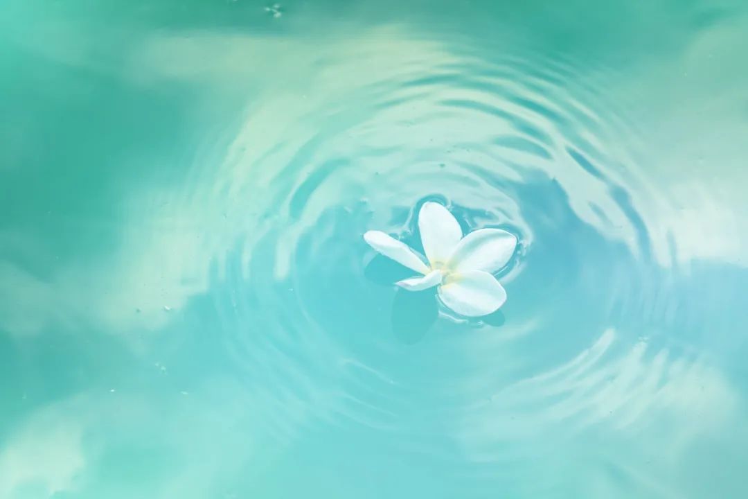 夜读 | 自知者明，自胜者强，自爱者乐
