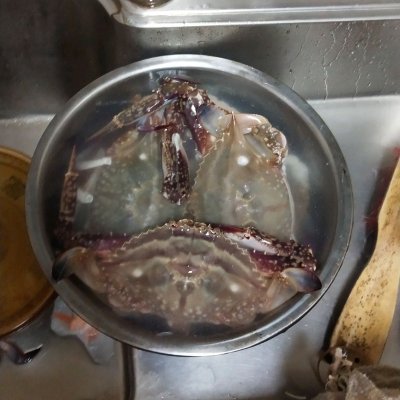 海螃蟹的做法,海螃蟹的做法和步驟