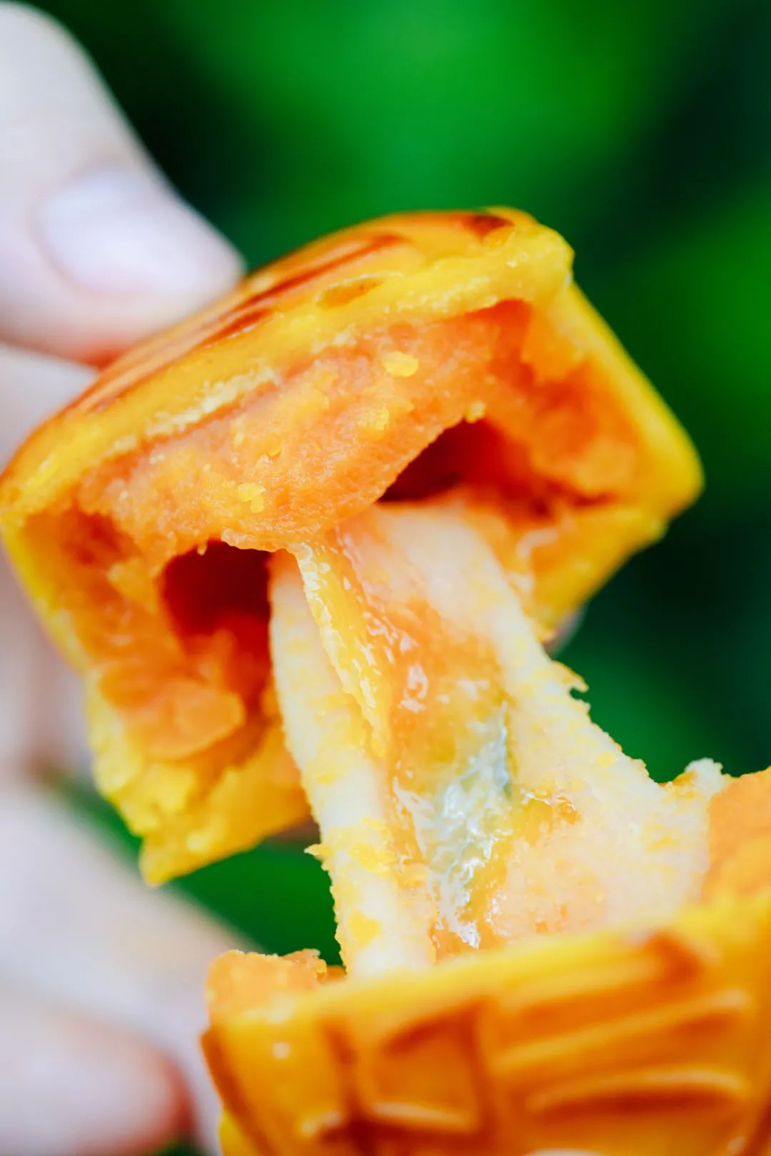 最近淘宝上有什么值得买的应季美食，还在打折?