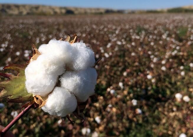 如果穿越到古代，你该穿什么衣服？