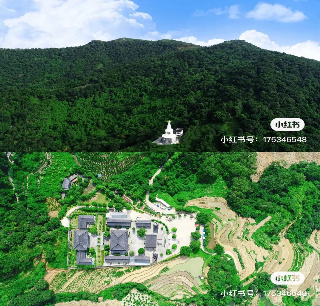 来 香一个 天天看点