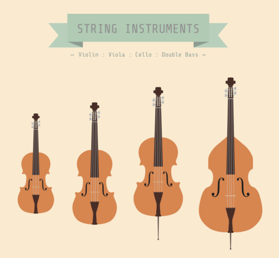 零基础学什么乐器好？——西洋乐器篇