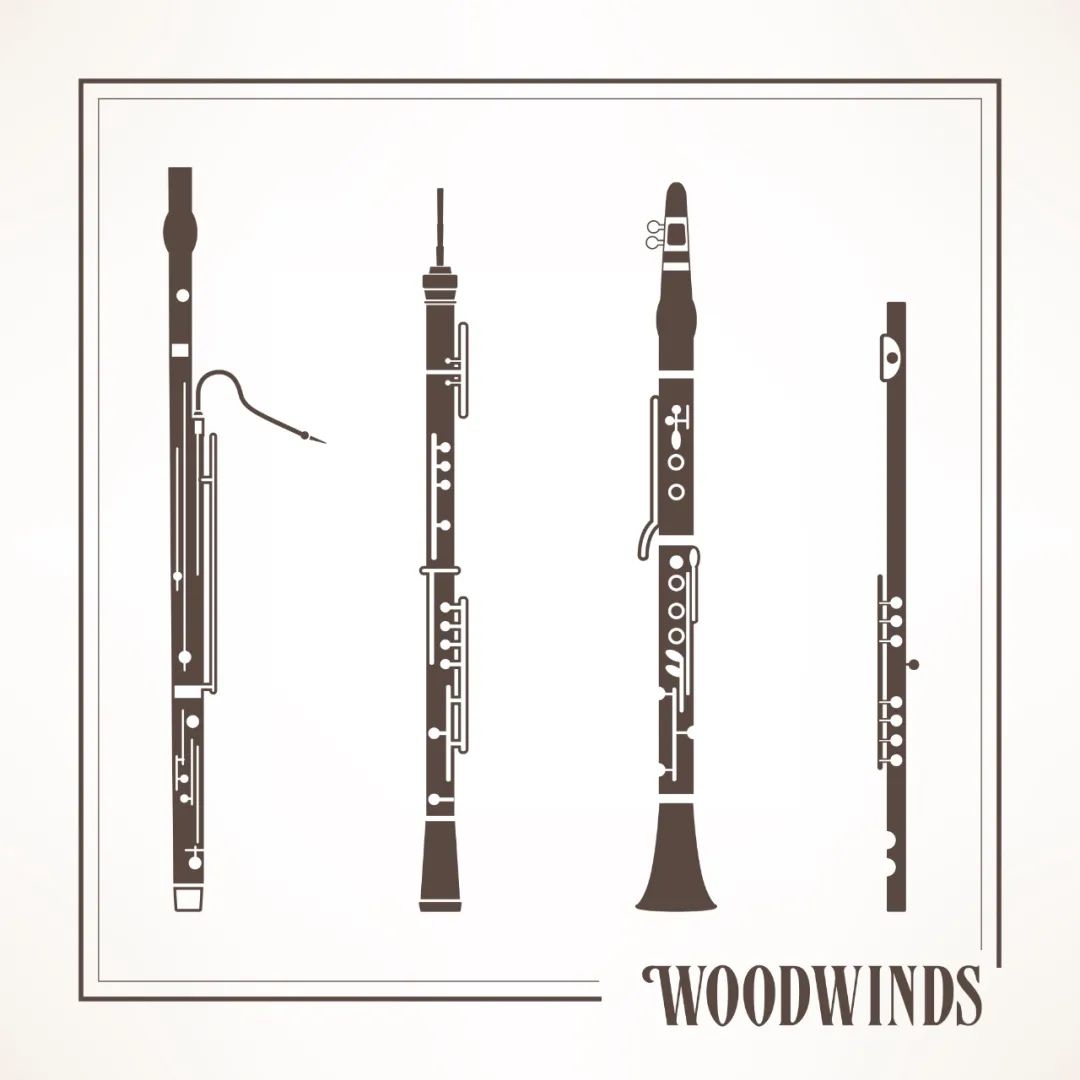 零基础学什么乐器好？——西洋乐器篇