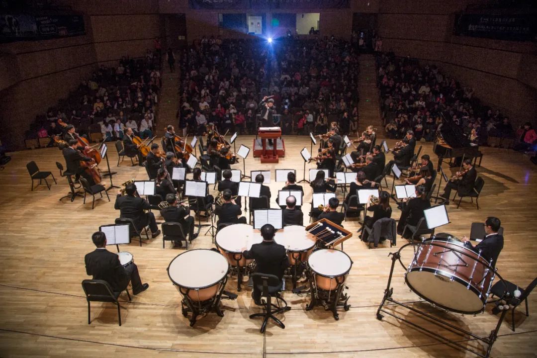 零基础学什么乐器好？——西洋乐器篇