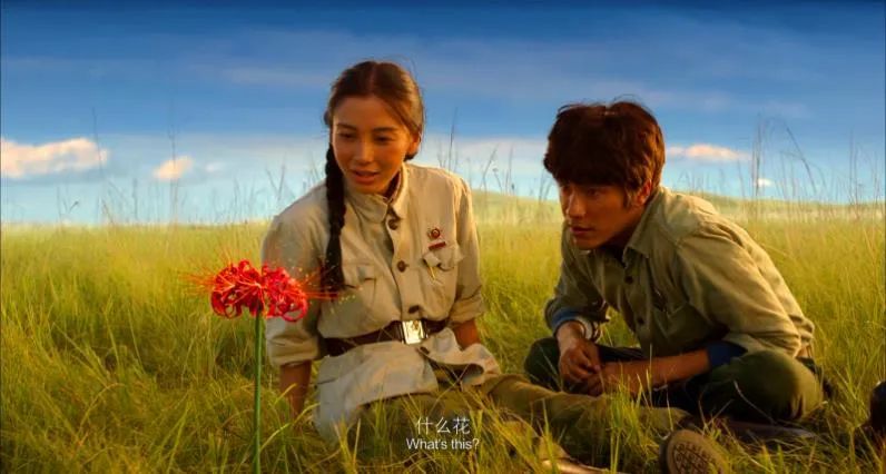 电影里那株"彼岸花"是你记忆的那棵"曼珠沙华"吗?丨花花万物