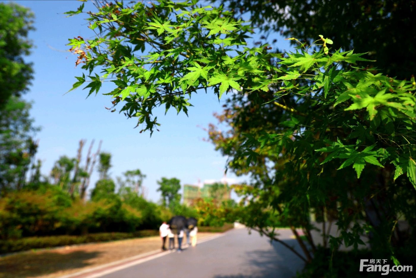 萍乡绿地招聘（萍乡经开区热门楼盘现场最新视频）