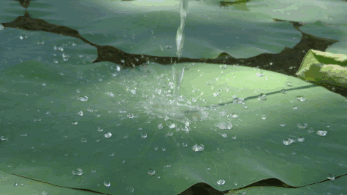 適合秋天的沖鋒衣！透氣防風又擋雨，一口氣買3件也不心疼