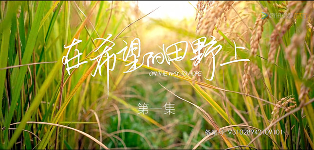 曹骏的新电视剧《希望的田野》，从教育切入了振兴乡村的道路，即使仰望星空也能脚踏实地地