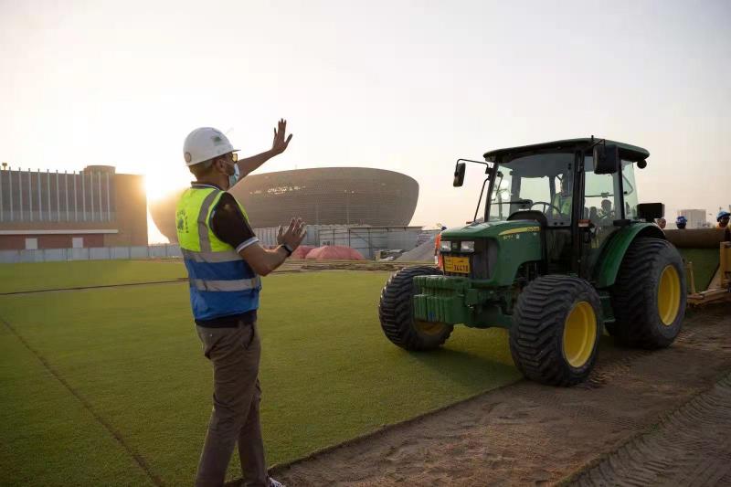 世界杯的草坪怎么样(2022世界杯决赛球场完成草坪铺设 基建工程已完成99%)