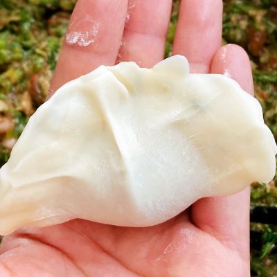 茴香苗饺子（茴香饺子就要这样做10分钟学会）
