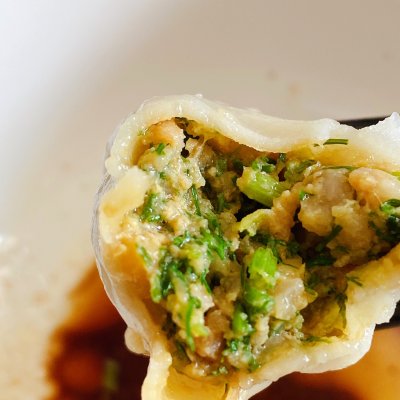 茴香苗饺子（茴香饺子就要这样做10分钟学会）