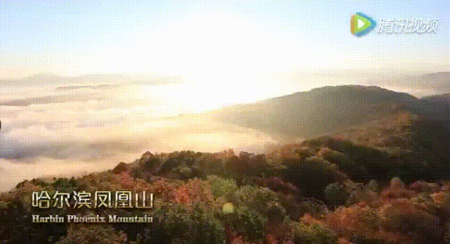 最色彩斑斓的季节！这幅龙江赏秋地图带你看遍黑龙江的大美山、水、湿地