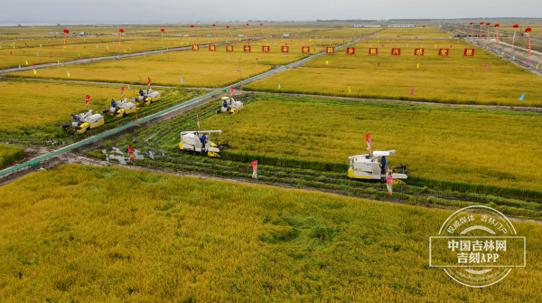 吉林·白城2021年中国农民丰收节开幕
