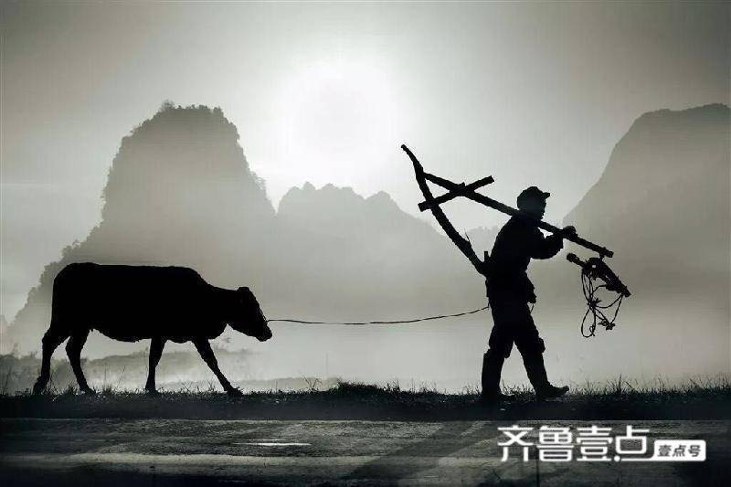 「青未了」汲海|又一次梦见父亲