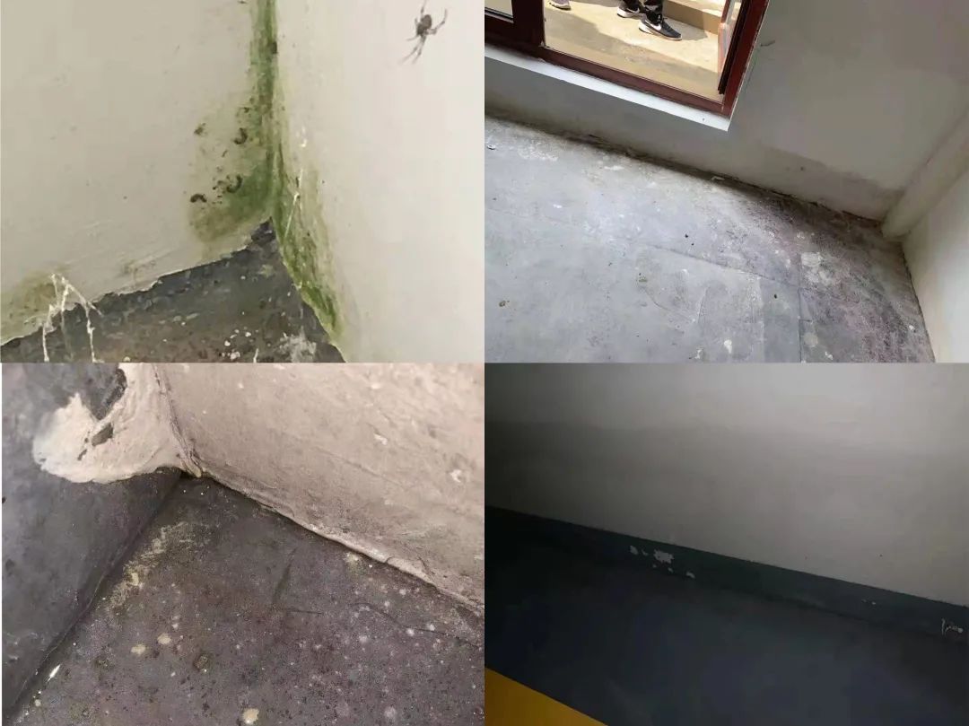 3·15在行动丨青岛西海岸建邦听海千万别墅全屋漏水严重，开发商维修半年未解决